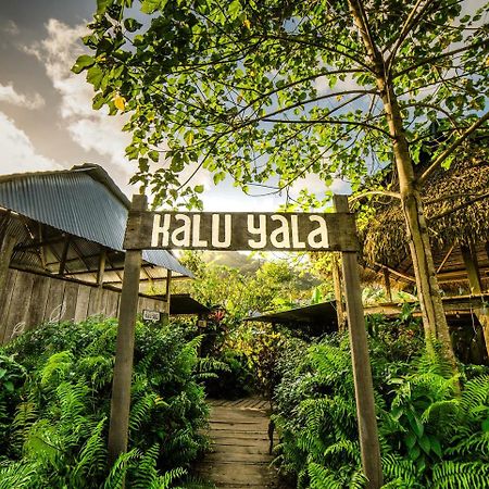 The Jungle Lodge At Kalu Yala Panama City Ngoại thất bức ảnh