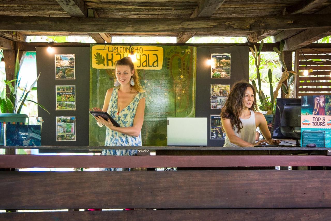 The Jungle Lodge At Kalu Yala Panama City Ngoại thất bức ảnh