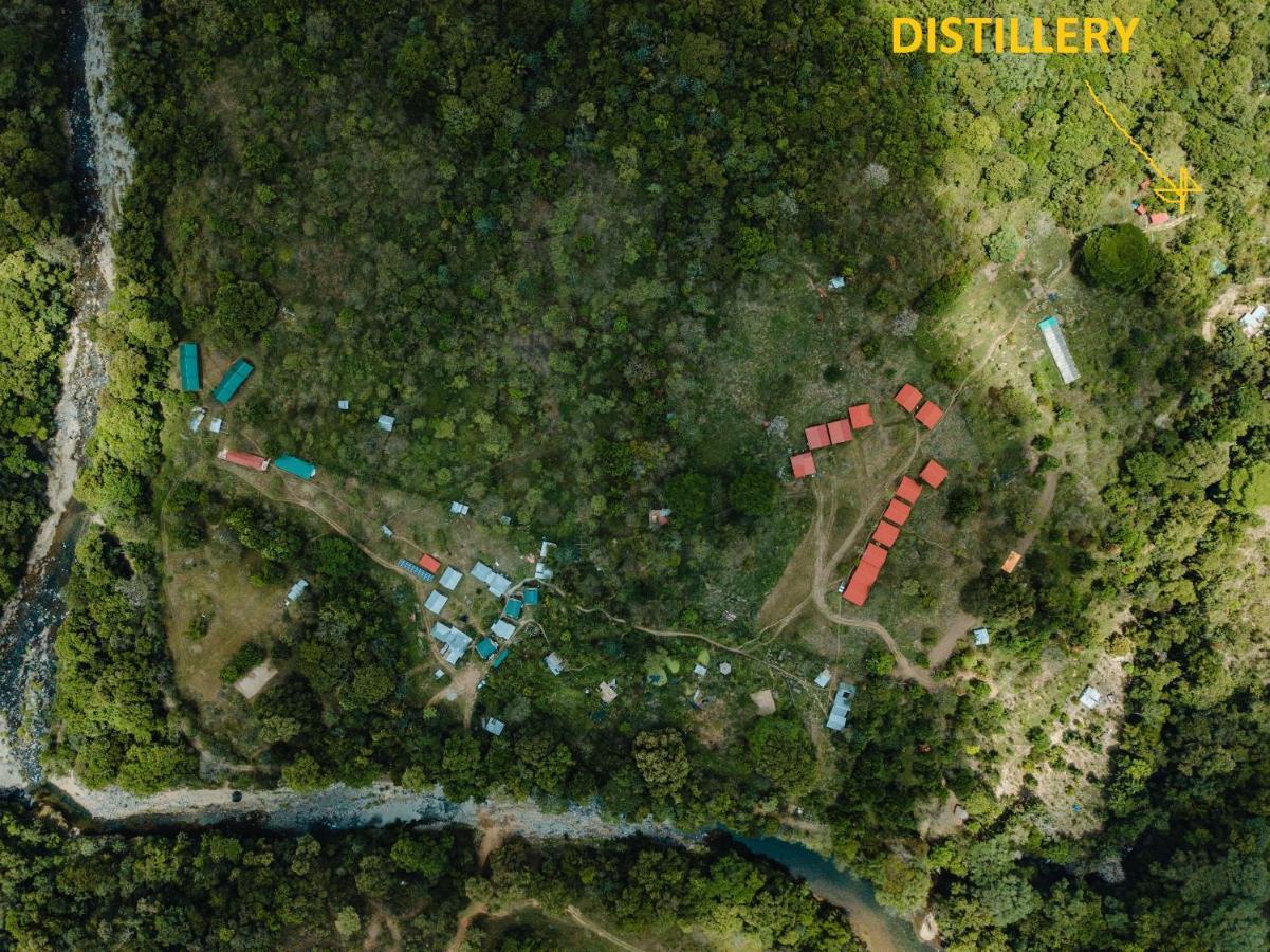 The Jungle Lodge At Kalu Yala Panama City Ngoại thất bức ảnh
