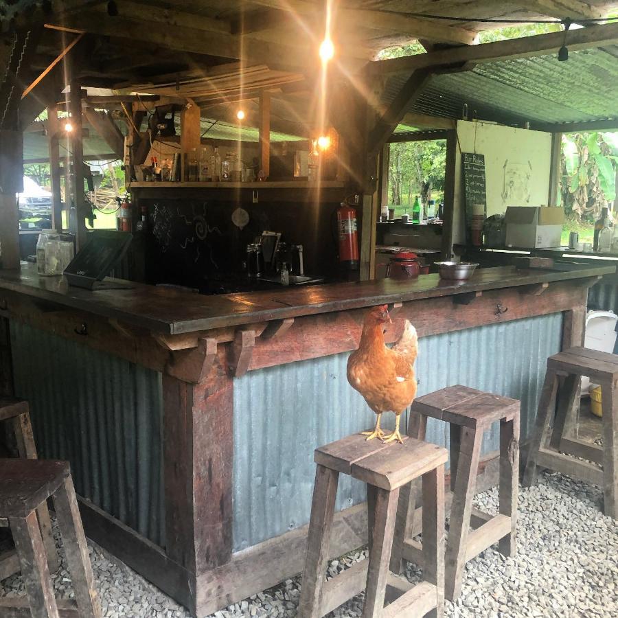 The Jungle Lodge At Kalu Yala Panama City Ngoại thất bức ảnh