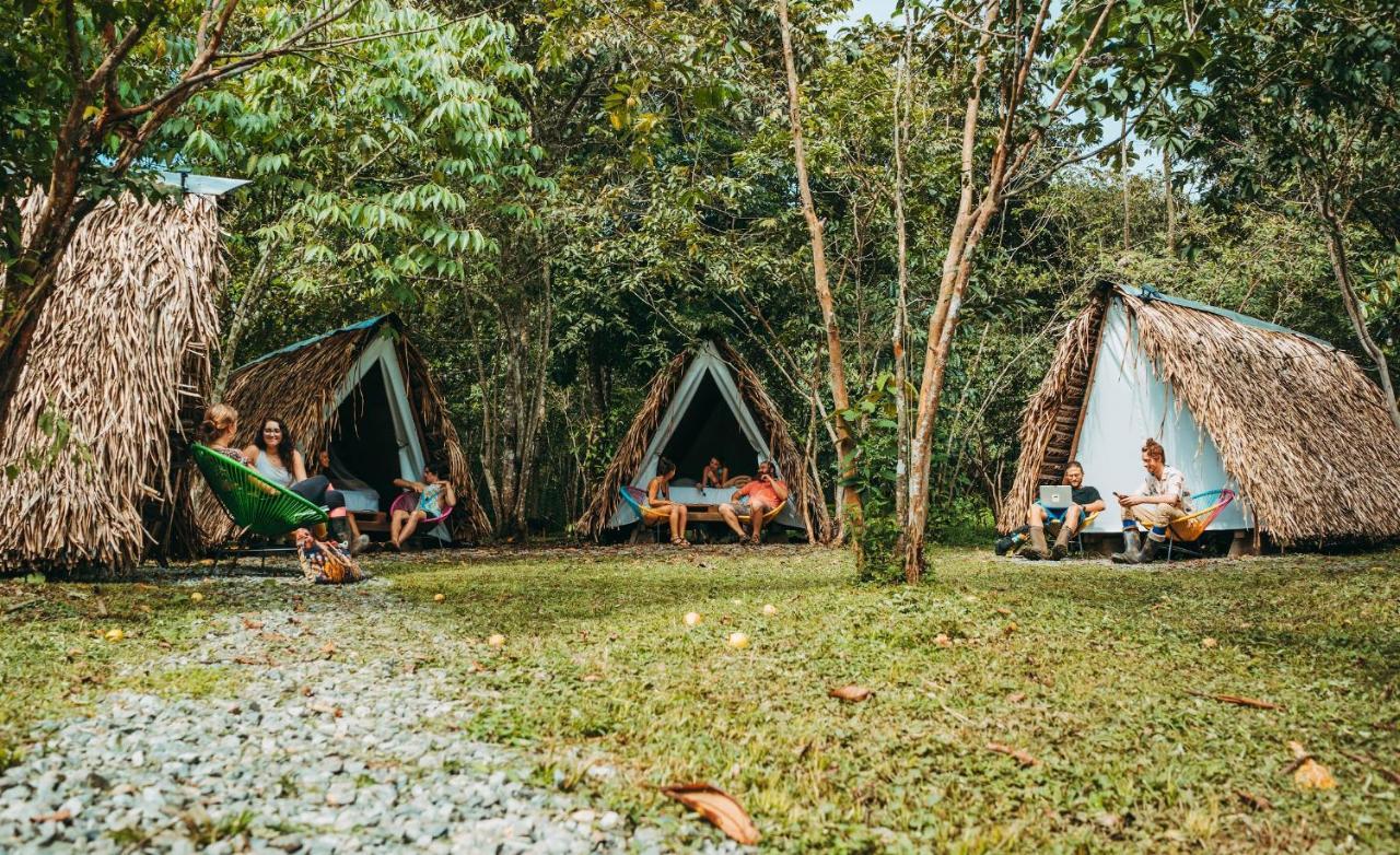 The Jungle Lodge At Kalu Yala Panama City Ngoại thất bức ảnh